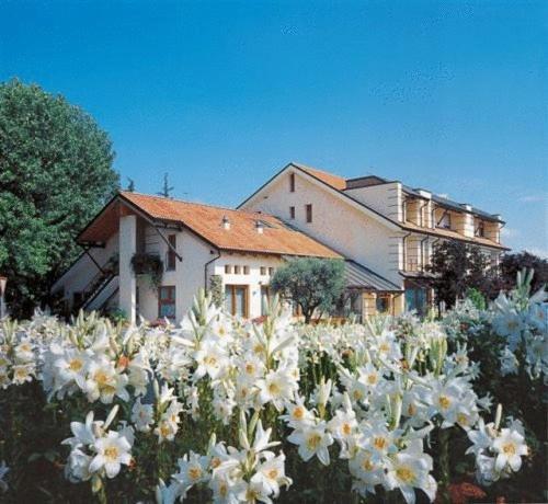Ca' Delle Rose Hotel Castelfranco Veneto Bagian luar foto